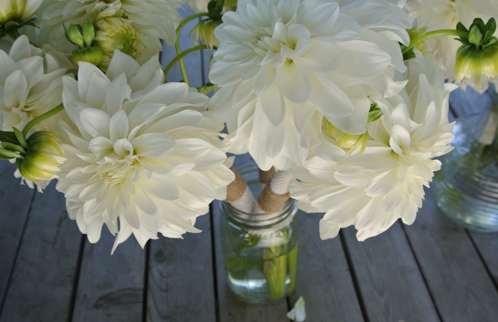 white flowers