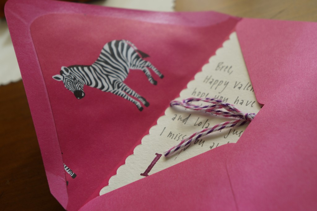 zebra envelope liner