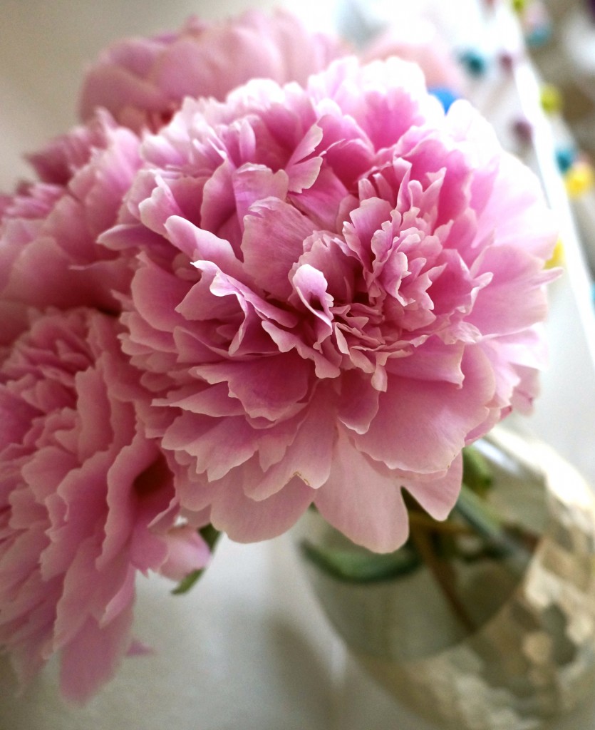 pink peonies