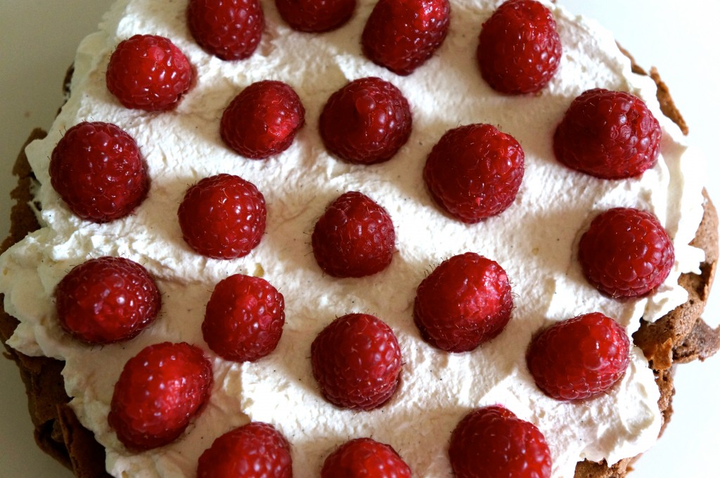 chocolate cake with whipped cream and raspberries