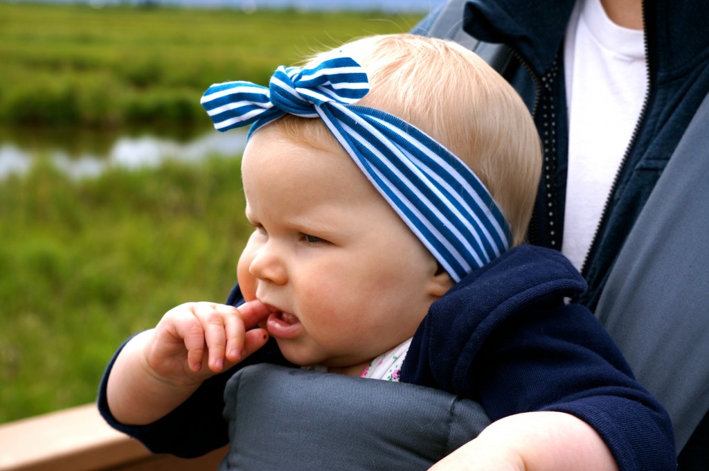 little hip squeak headband