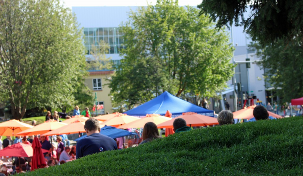 concert in the park