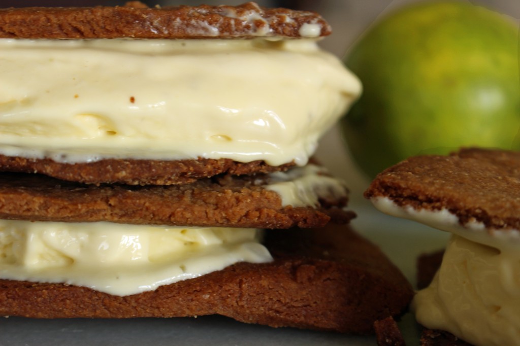 lime icream sandwiches with graham crackers