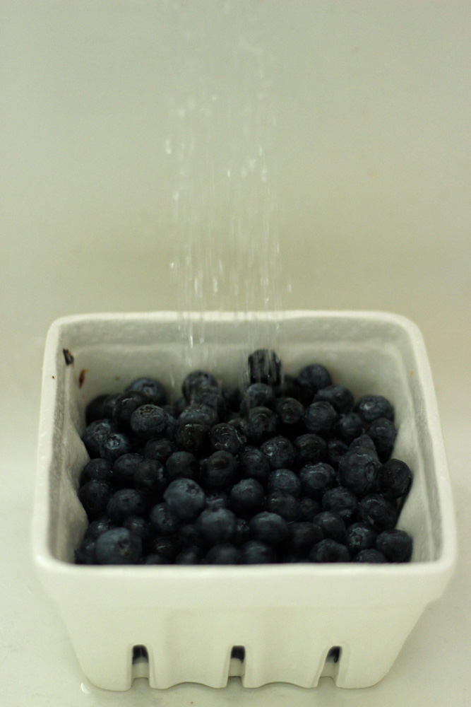 fresh blueberries