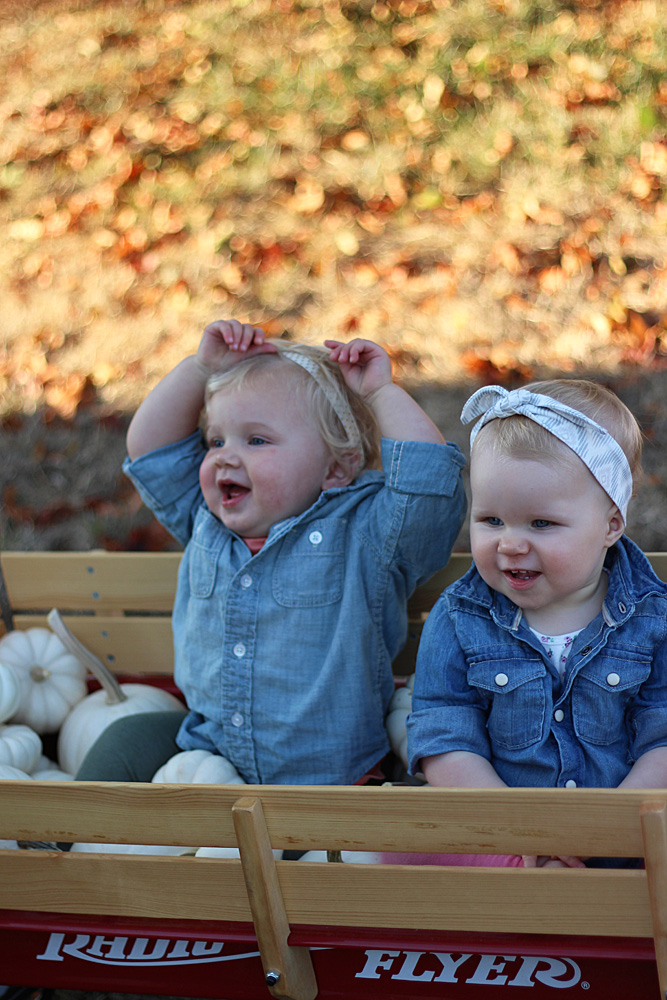 white pumpkins and babies