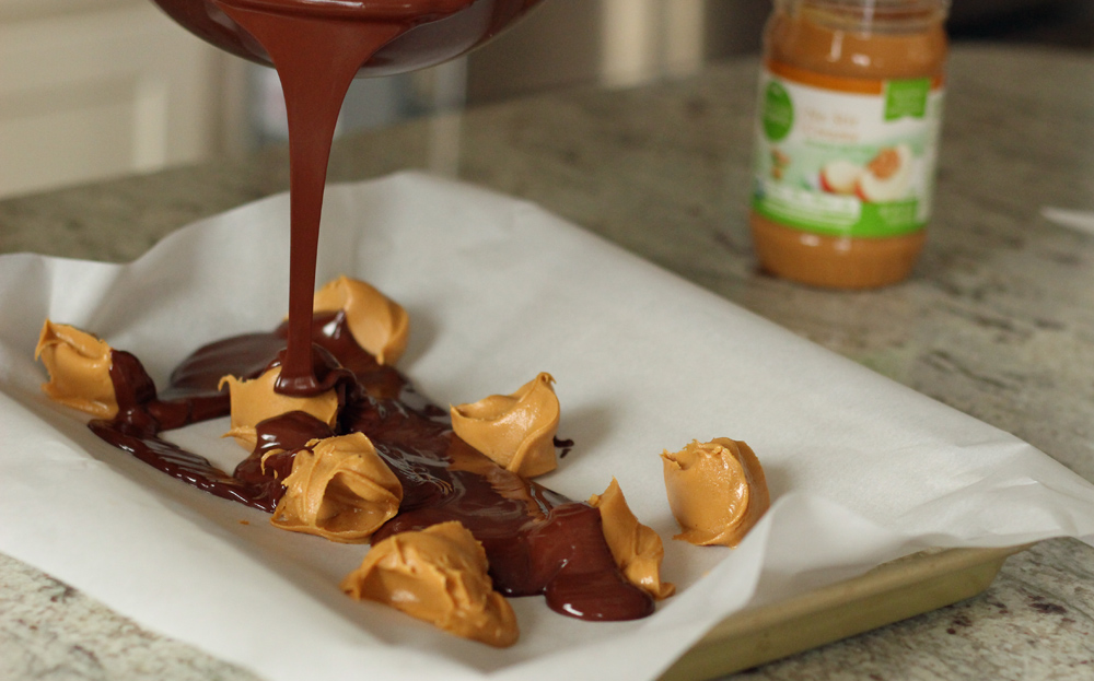 chocolate peanut butter pretzel bark