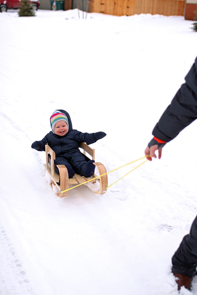 waverley's sled