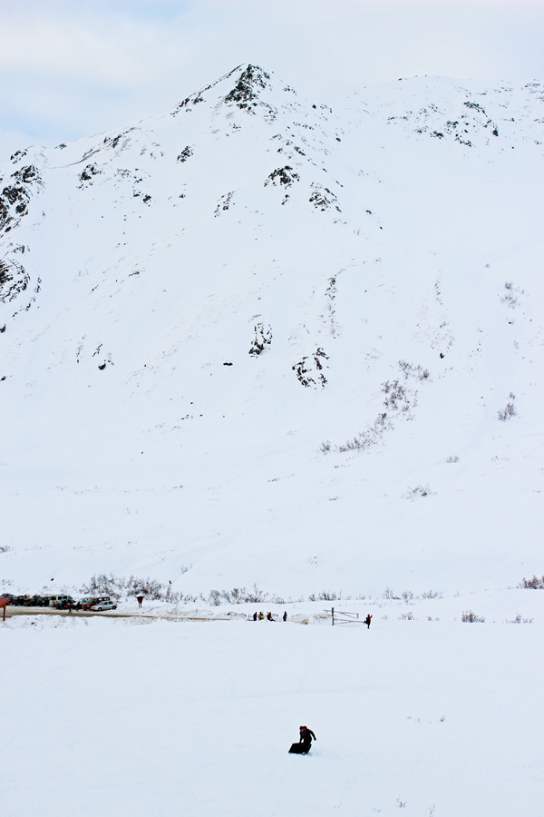 sledding in alaska