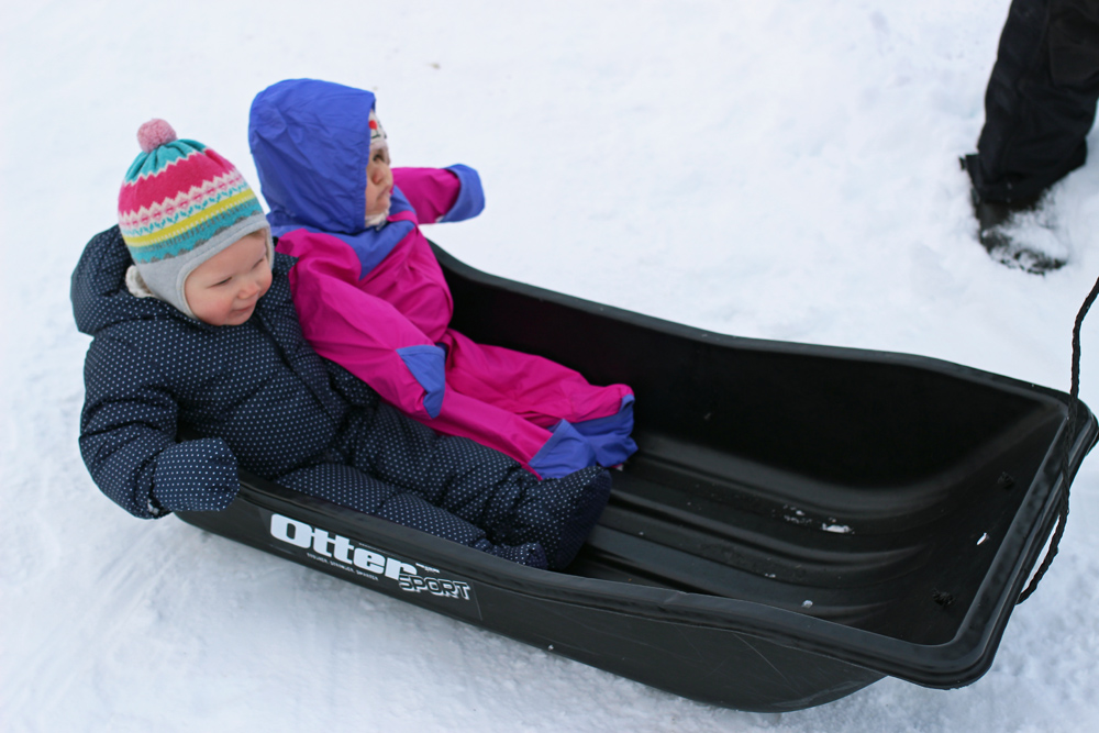 sledding in alaska