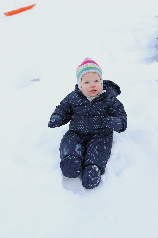 sledding in alaska