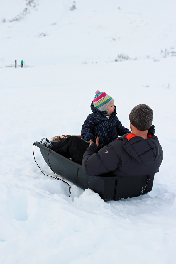 sledding in alaska