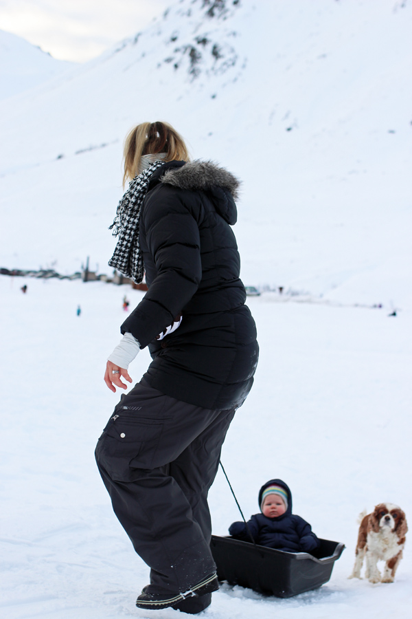 sledding in alaska