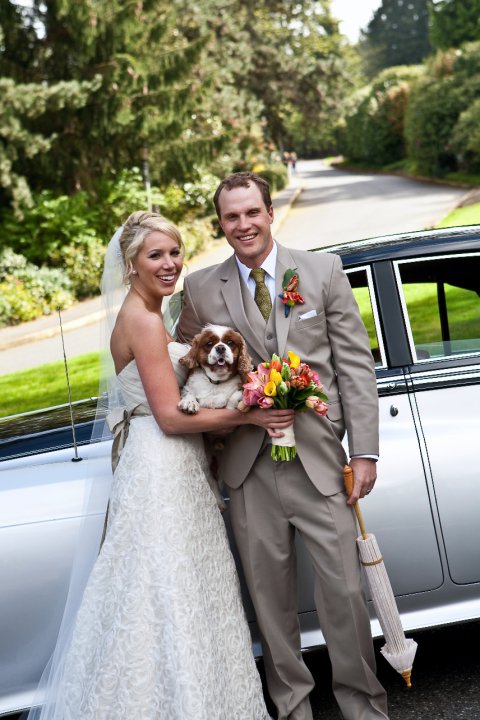 wedding with dog