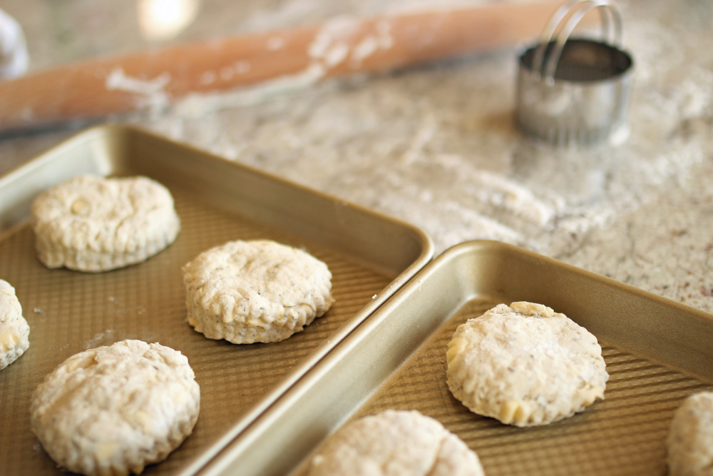 savory buttermilk biscuits