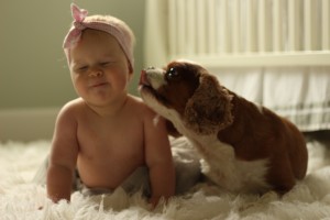 baby and dog