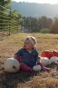 white pumpkins