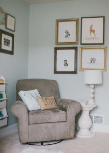 gray glider in nursery