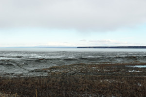 spring in alaska