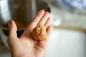 peanut butter nutella cookies