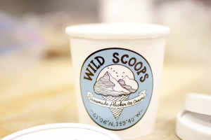 wild scoops ice cream