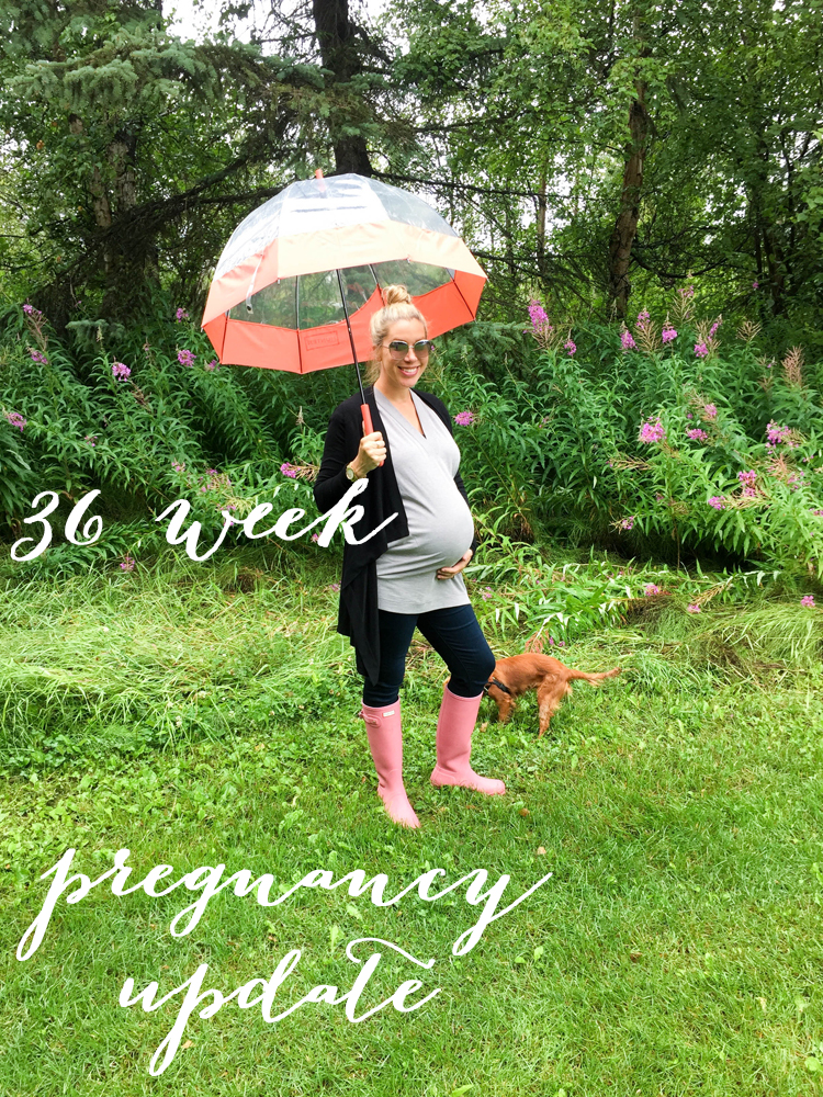 36 weeks pregnant